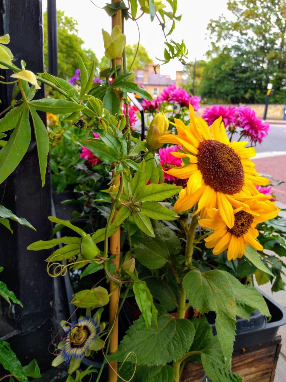 Cambridge Farmers Outlet Apartman Kültér fotó